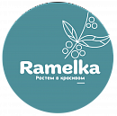 ИП Зайнетдинов Рамиль Расихович