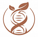 Клиника 
